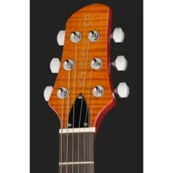 Larry Carlton Q7 Hollow Amber Burst