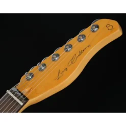 Larry Carlton T7 BK New Gen