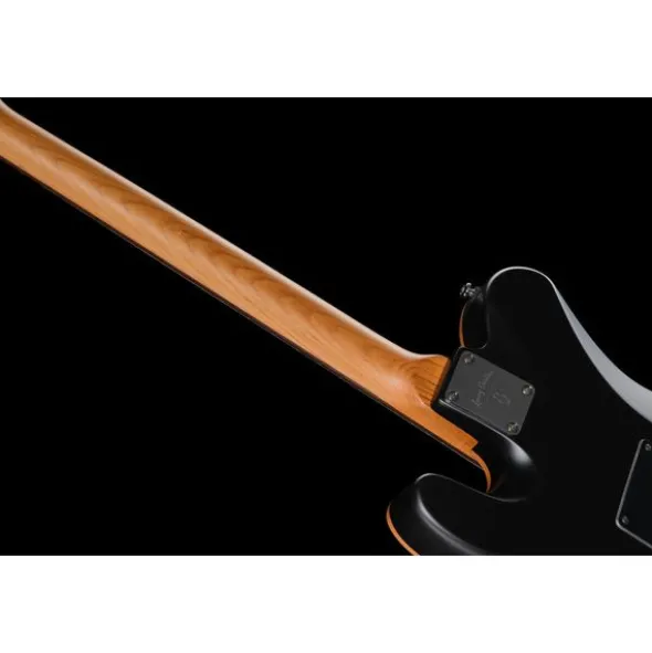 Larry Carlton T7 FM Trans Black New Gen