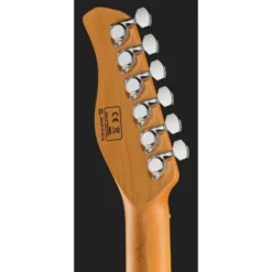 Larry Carlton T7 3TS New Gen