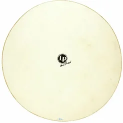LP 221A 19" Quinto Head