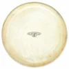 LP CP221A Bongo Head 6"