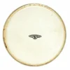 LP CP221B Bongo Head 7"