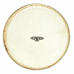 LP CP221B Bongo Head 7"
