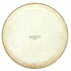 LP CP221B Bongo Head 7"