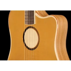 L.R.Baggs AEG 1 E-Acoustic Torrefied