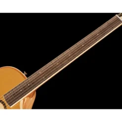 L.R.Baggs AEG 1 E-Acoustic Torrefied