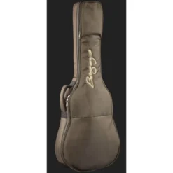 L.R.Baggs AEG 1 E-Acoustic Torrefied