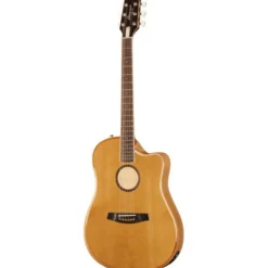 L.R.Baggs AEG 1 E-Acoustic Torrefied