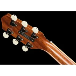 L.R.Baggs AEG 1 E-Acoustic Torrefied