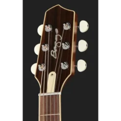 L.R.Baggs AEG 1 E-Acoustic Torrefied