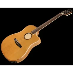 L.R.Baggs AEG 1 E-Acoustic Torrefied