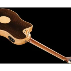 L.R.Baggs AEG 1 E-Acoustic Torrefied