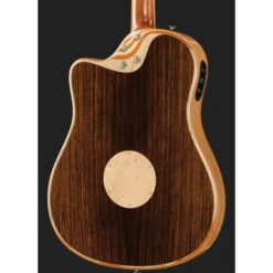 L.R.Baggs AEG 1 E-Acoustic Torrefied