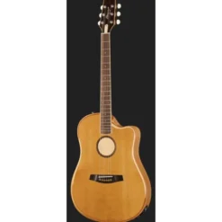 L.R.Baggs AEG 1 E-Acoustic Torrefied