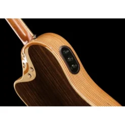 L.R.Baggs AEG 1 E-Acoustic Torrefied