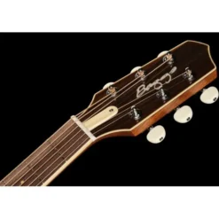 L.R.Baggs AEG 1 E-Acoustic Torrefied