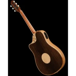 L.R.Baggs AEG 1 E-Acoustic Torrefied