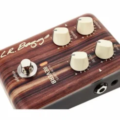 L.R.Baggs Align Reverb Effektpedal
