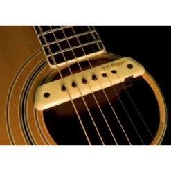 L.R.Baggs M1 Activ Soundhole Pickup