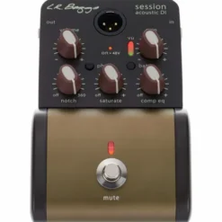 L.R.Baggs Session Acoustic DI