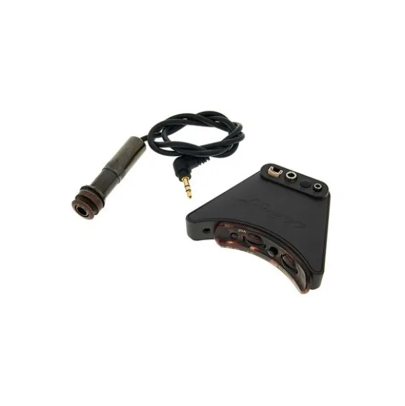 L.R.Baggs Session VTC B-Stock
