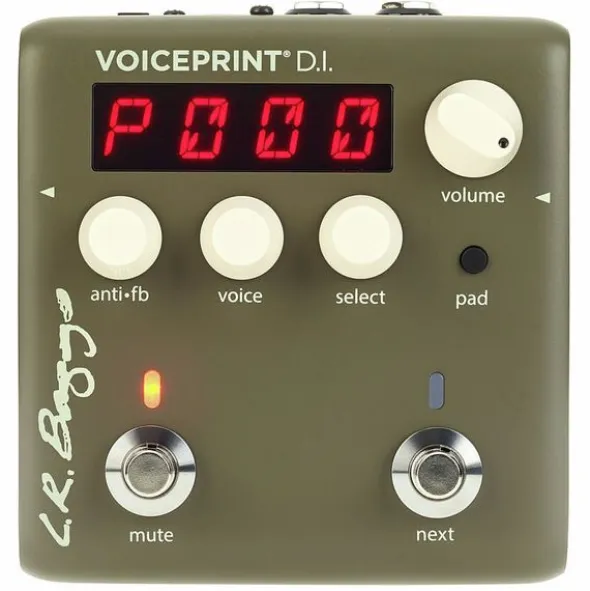 L.R.Baggs Voiceprint DI
