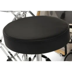 Ludwig Evolution 22