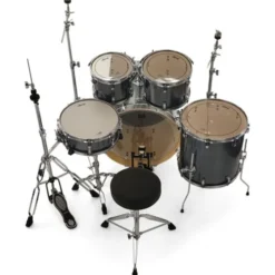 Ludwig Evolution 22