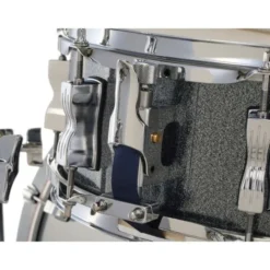 Ludwig Evolution 22