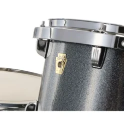Ludwig Evolution 22
