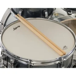 Ludwig Evolution 22