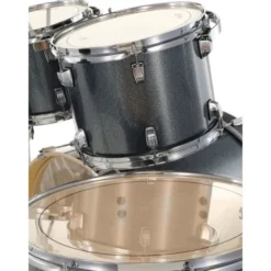 Ludwig Evolution 22