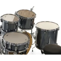 Ludwig Evolution 22