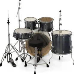 Ludwig Evolution 22