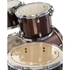 Ludwig Evolution 22