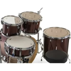 Ludwig Evolution 22