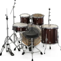 Ludwig Evolution 22
