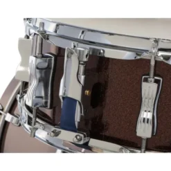 Ludwig Evolution 22