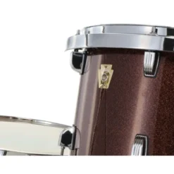 Ludwig Evolution 22