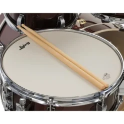 Ludwig Evolution 22