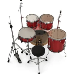Ludwig Evolution 22