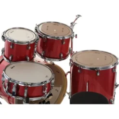 Ludwig Evolution 22