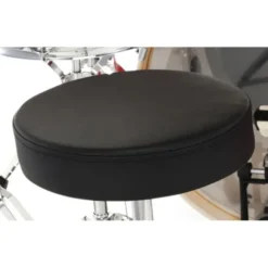 Ludwig Evolution 22