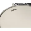 Ludwig Evolution 20" Moon Dust