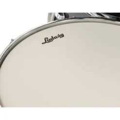 Ludwig Evolution 20" Moon Dust