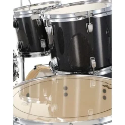 Ludwig Evolution 20
