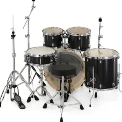 Ludwig Evolution 20