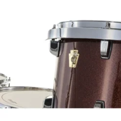 Ludwig Evolution 22