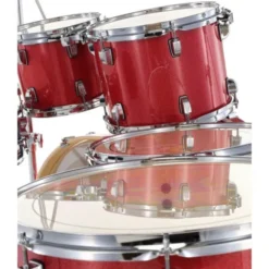 Ludwig Evolution 22